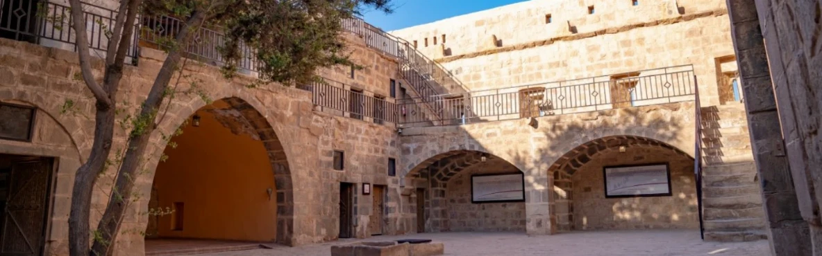 Winter Charm: Your Guide to Winter in Tabuk
