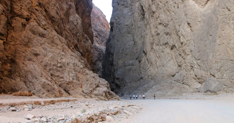 Winter Charm: Your Guide to Winter in Tabuk