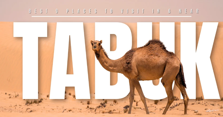 Best 9 Places to Visit In & Near Tabuk